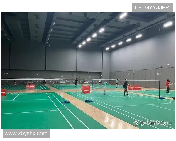 羽毛球巨献：探秘深圳羽毛球队的比赛经验