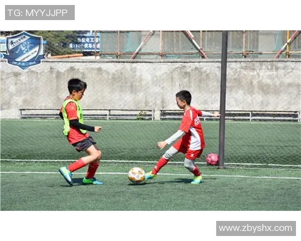 网球装备选购：训练器材推荐