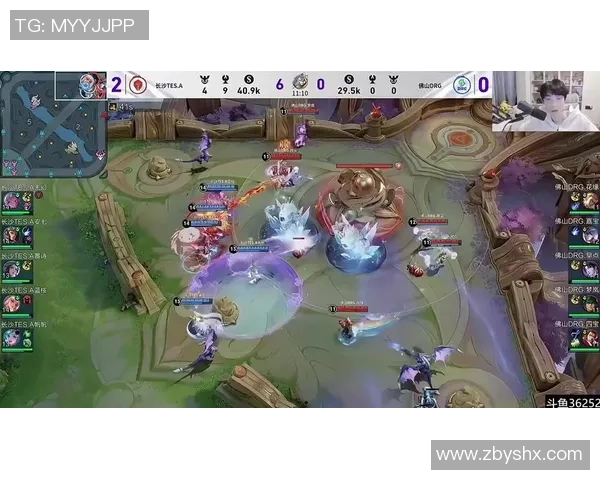 王者荣耀专题:聚焦TES的比赛经验 王者荣耀专题:聚焦TES的比赛经验